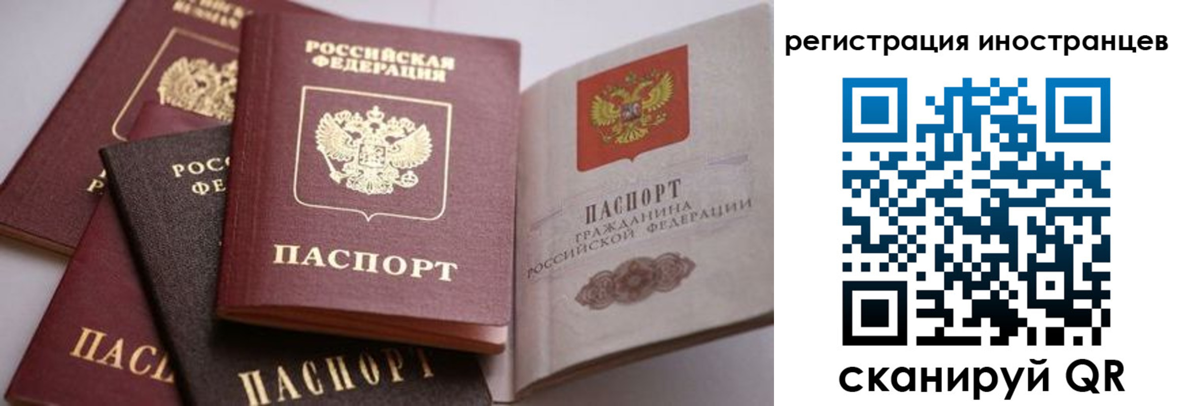 прописка штамп в Камешково