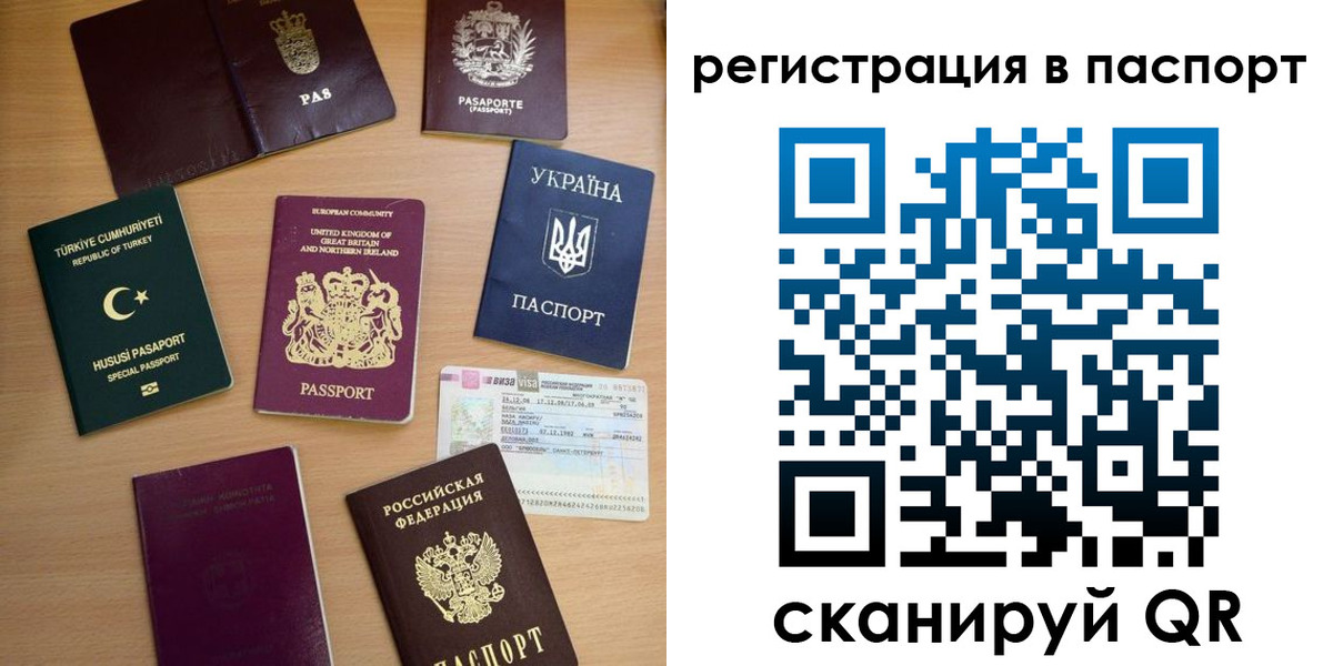 прописка поиск в Камешково